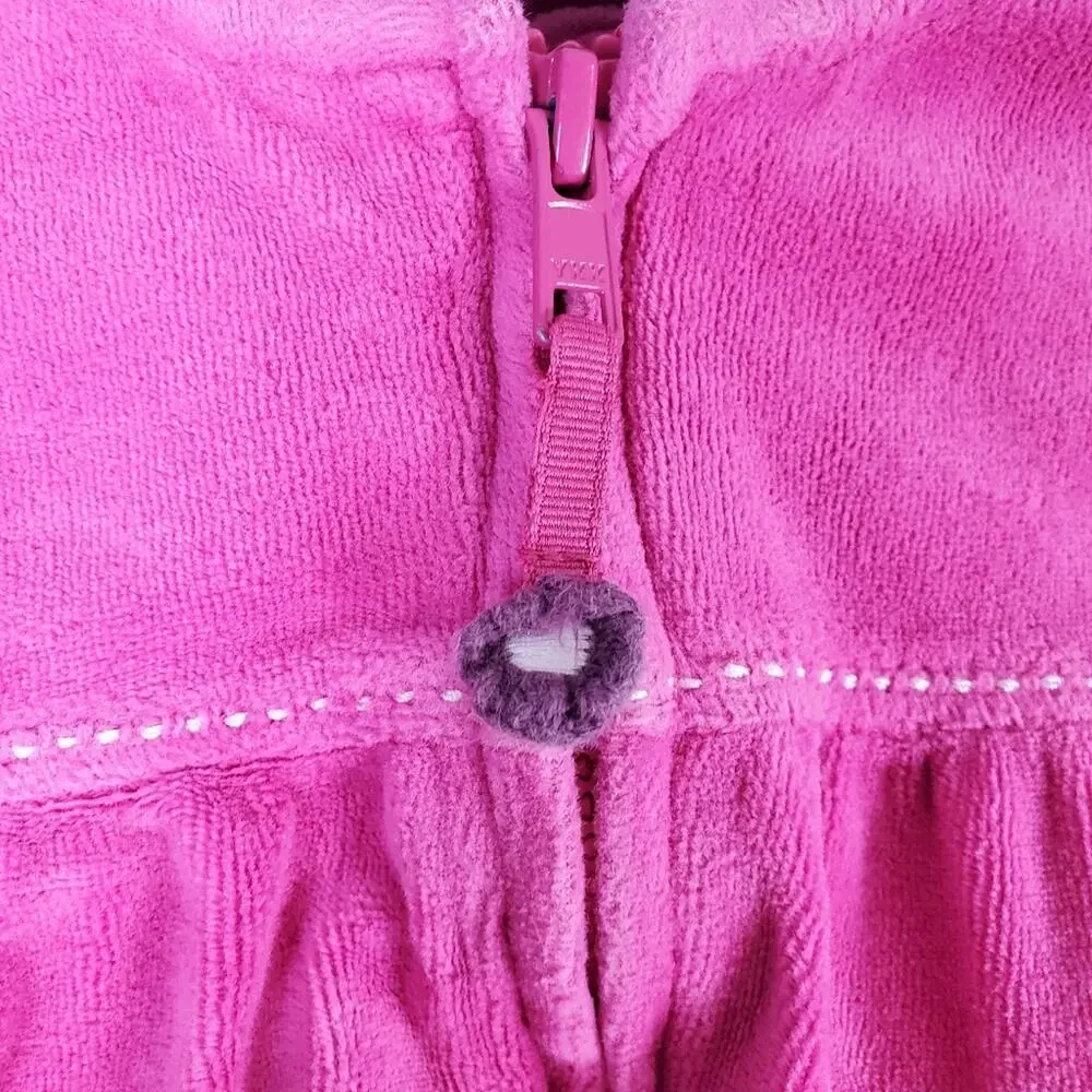 Gymboree Fall Forest Pink Velour Hoodie Size 3T